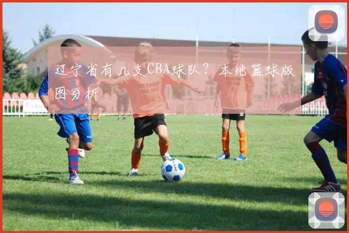 辽宁省有几支CBA球队？本地篮球版图分析