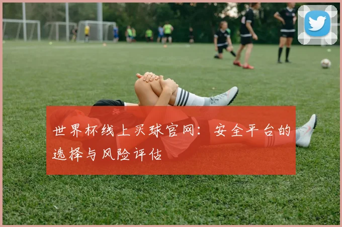 世界杯线上买球官网：安全平台的选择与风险评估