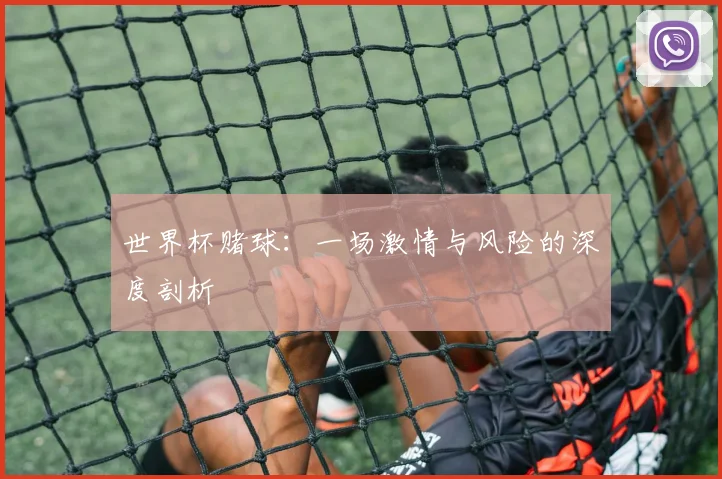 世界杯赌球:一场激情与风险的深度剖析