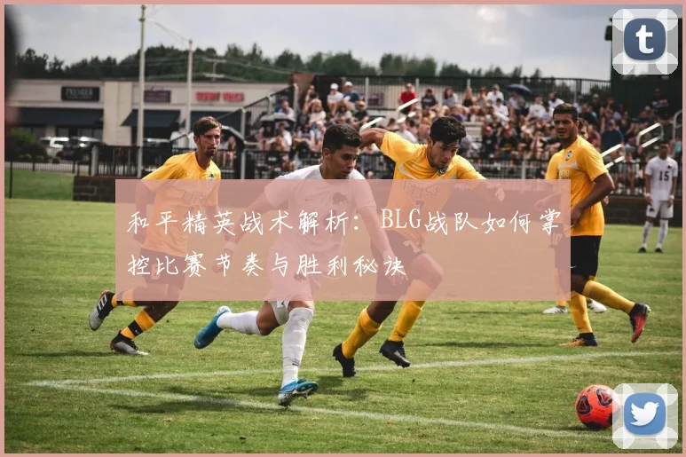 和平精英战术解析：BLG战队如何掌控比赛节奏与胜利秘诀