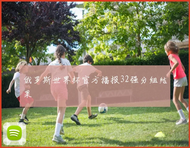 俄罗斯世界杯官方播报32强分组结果