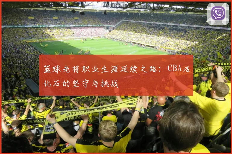 篮球老将职业生涯延续之路：CBA活化石的坚守与挑战