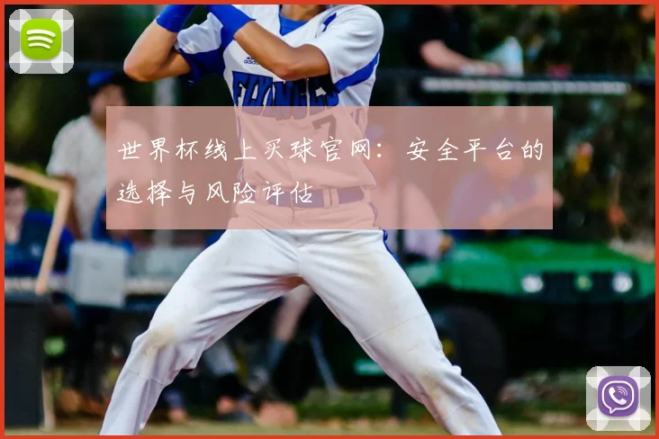 世界杯线上买球官网:安全平台的选择与风险评估
