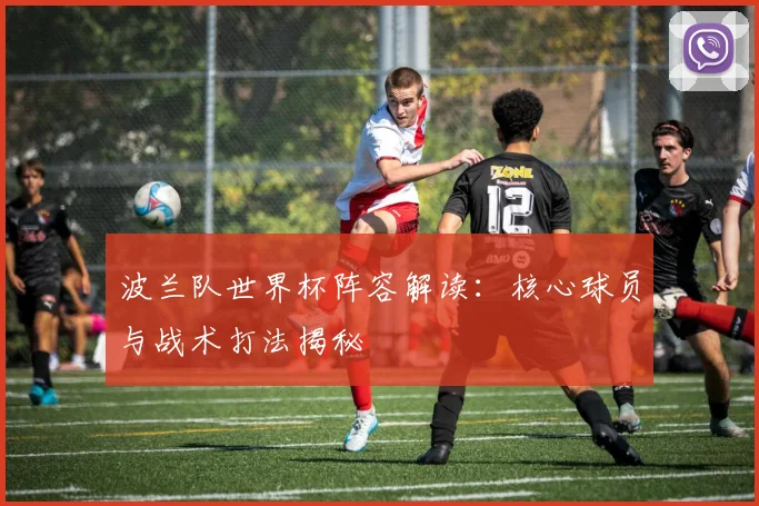 波兰队世界杯阵容解读:核心球员与战术打法揭秘