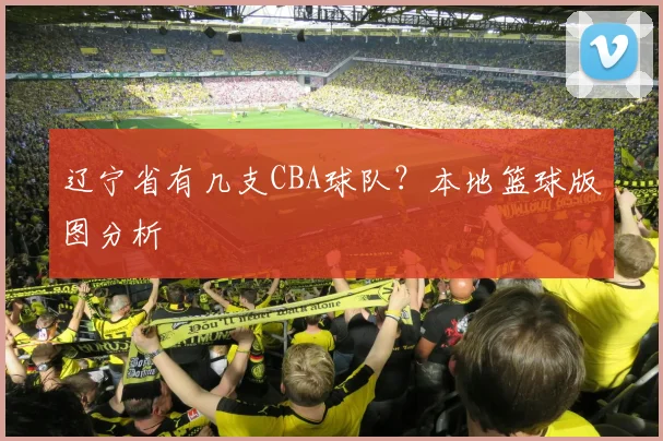 辽宁省有几支CBA球队?本地篮球版图分析