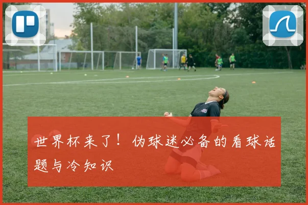 世界杯来了!伪球迷必备的看球话题与冷知识